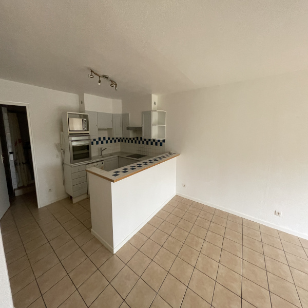 Offres de location Rez de jardin Trévenans 90400
